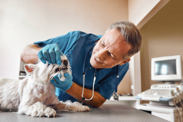 Best Emergency Tooth Extraction in Harbor Isle, NY