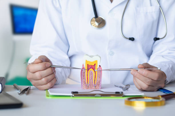 Best Emergency Gum Treatment in Harbor Isle, NY